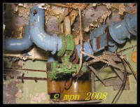 /album/vogelsang/dscn0020-jpg/